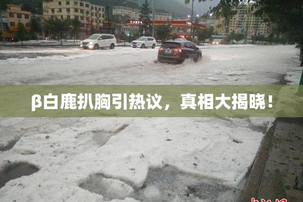β白鹿扒胸引热议，真相大揭晓！