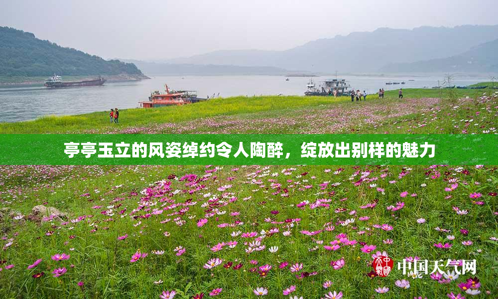 亭亭玉立的风姿绰约令人陶醉，绽放出别样的魅力