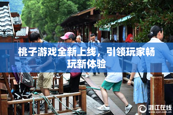 桃子游戏全新上线，引领玩家畅玩新体验
