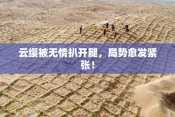 云缨被无情扒开腿，局势愈发紧张！