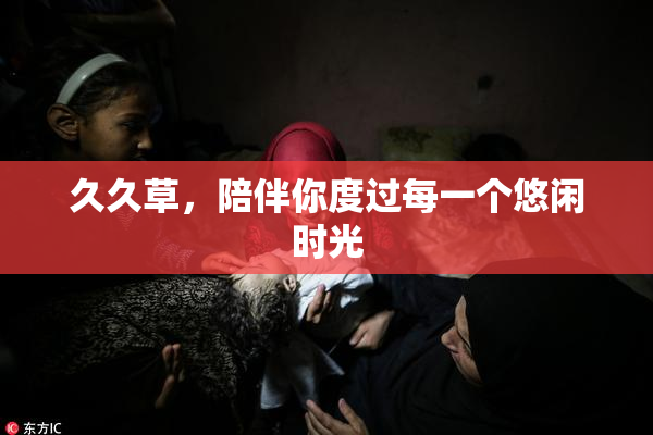久久草，陪伴你度过每一个悠闲时光