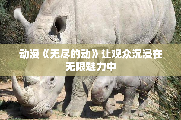 动漫《无尽的动》让观众沉浸在无限魅力中