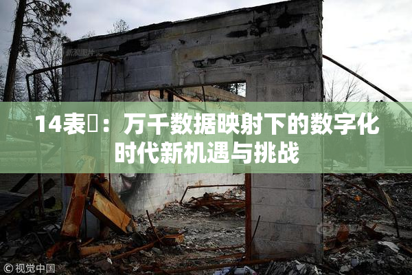 14表妺：万千数据映射下的数字化时代新机遇与挑战