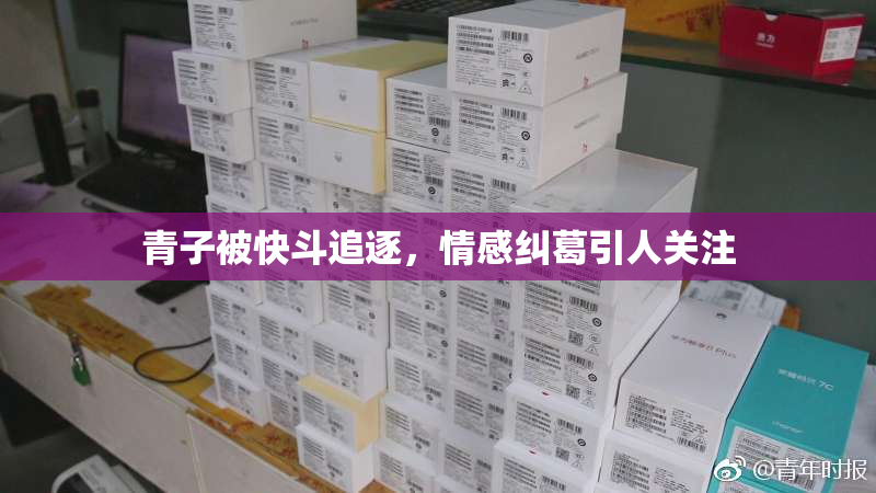 青子被快斗追逐，情感纠葛引人关注