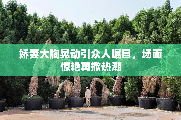 娇妻大胸晃动引众人瞩目，场面惊艳再掀热潮
