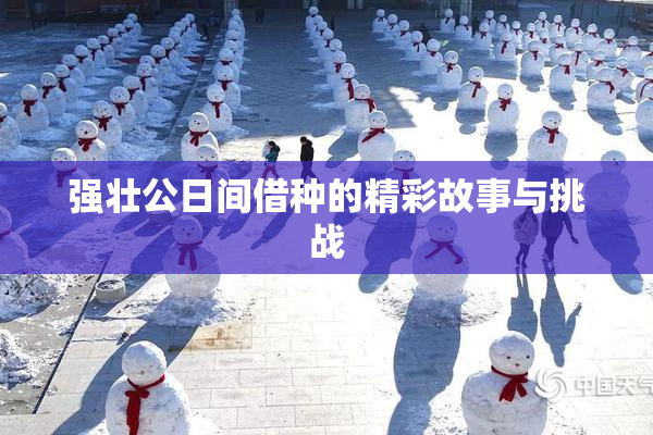 强壮公日间借种的精彩故事与挑战