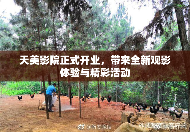 天美影院正式开业，带来全新观影体验与精彩活动