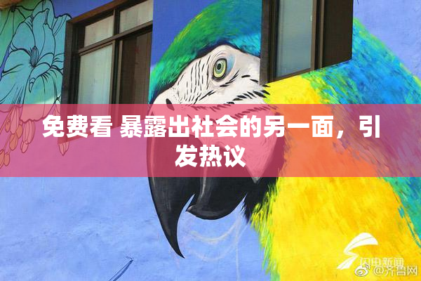 免费看 暴露出社会的另一面，引发热议