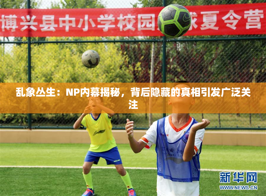 乱象丛生：NP内幕揭秘，背后隐藏的真相引发广泛关注