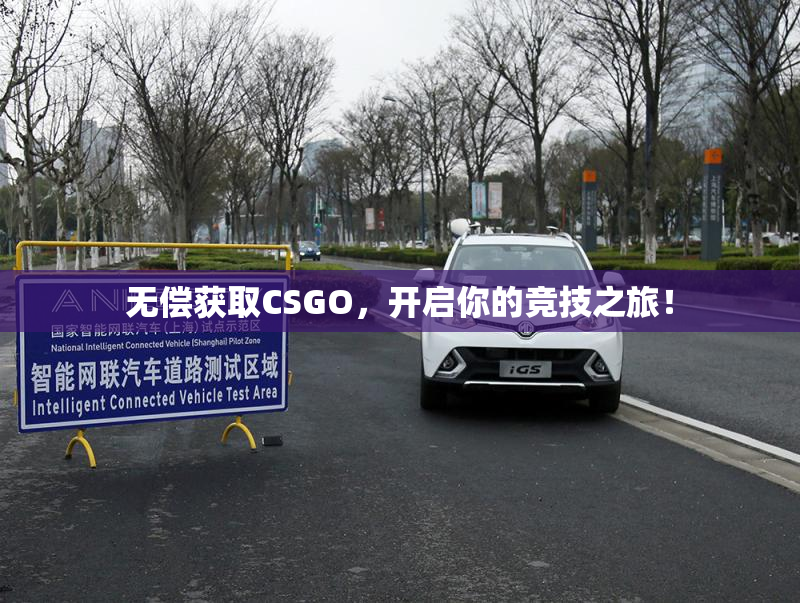无偿获取CSGO，开启你的竞技之旅！