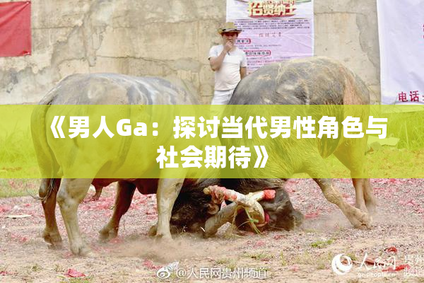 《男人Ga：探讨当代男性角色与社会期待》
