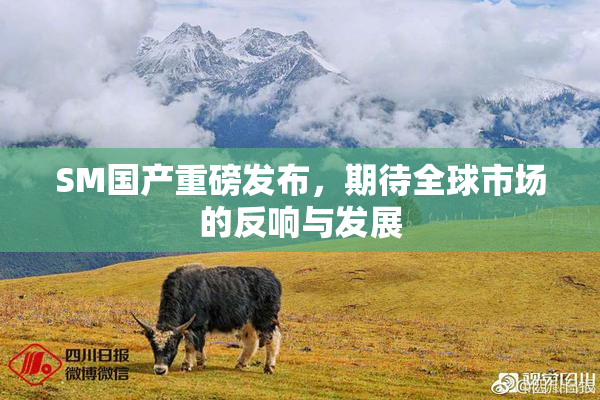SM国产重磅发布，期待全球市场的反响与发展
