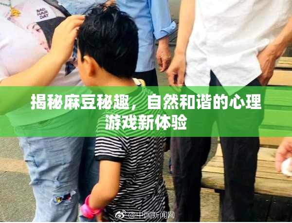 揭秘麻豆秘趣，自然和谐的心理游戏新体验