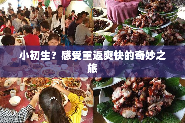 小初生？感受重返爽快的奇妙之旅