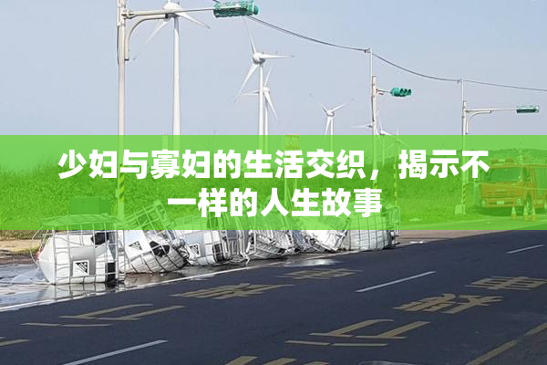 少妇与寡妇的生活交织，揭示不一样的人生故事