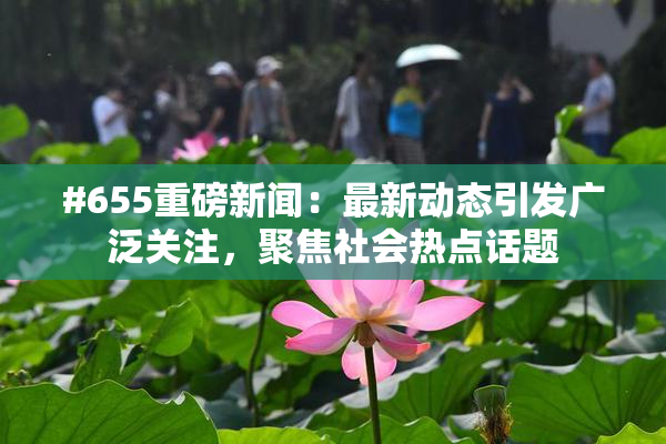 #655重磅新闻：最新动态引发广泛关注，聚焦社会热点话题
