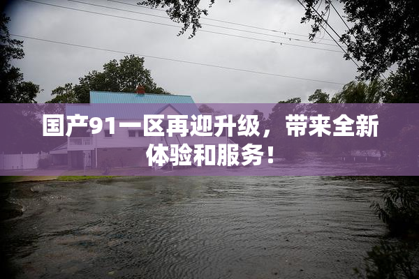 国产91一区再迎升级，带来全新体验和服务！