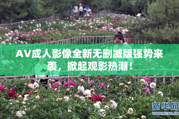 AV成人影像全新无删减版强势来袭，掀起观影热潮！