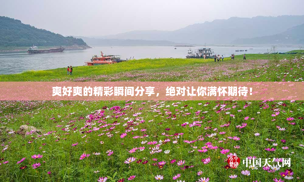 爽好爽的精彩瞬间分享，绝对让你满怀期待！