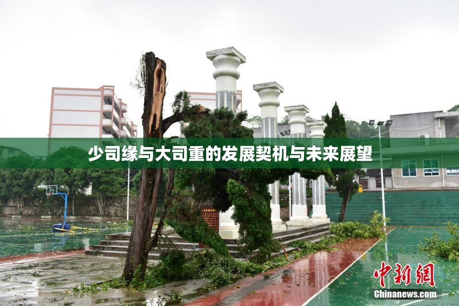 少司缘与大司重的发展契机与未来展望
