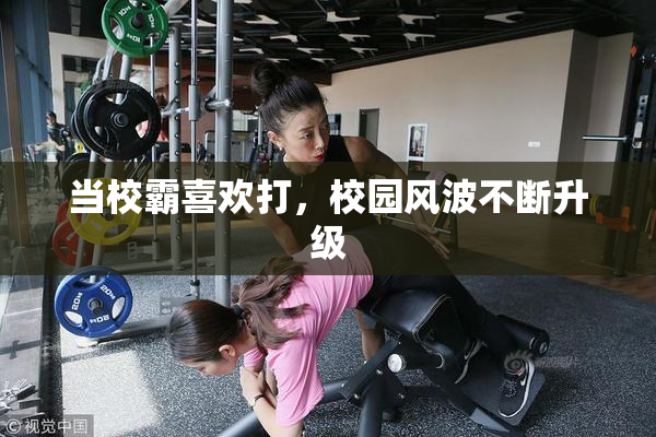 当校霸喜欢打，校园风波不断升级