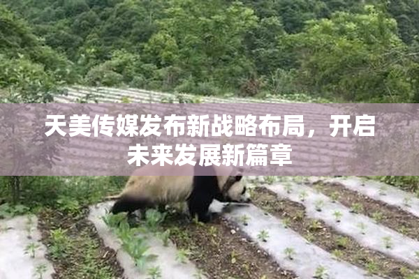 天美传媒发布新战略布局，开启未来发展新篇章