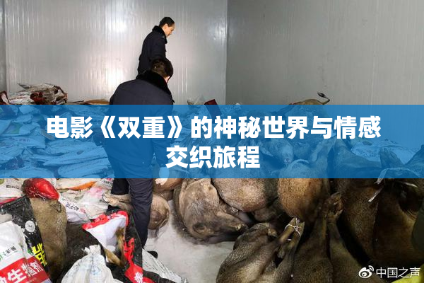 电影《双重》的神秘世界与情感交织旅程