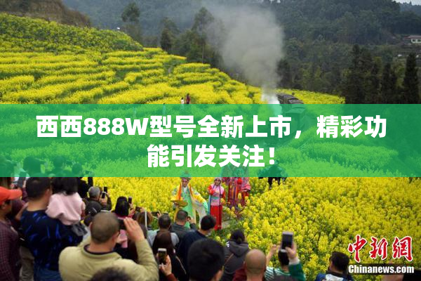 西西888W型号全新上市，精彩功能引发关注！