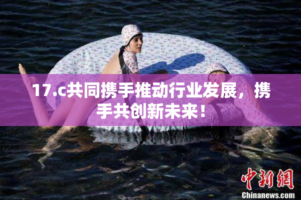 17.c共同携手推动行业发展，携手共创新未来！