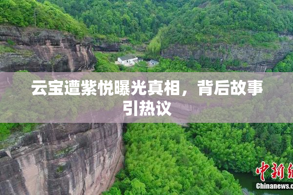 云宝遭紫悦曝光真相，背后故事引热议