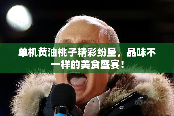 单机黄油桃子精彩纷呈，品味不一样的美食盛宴！