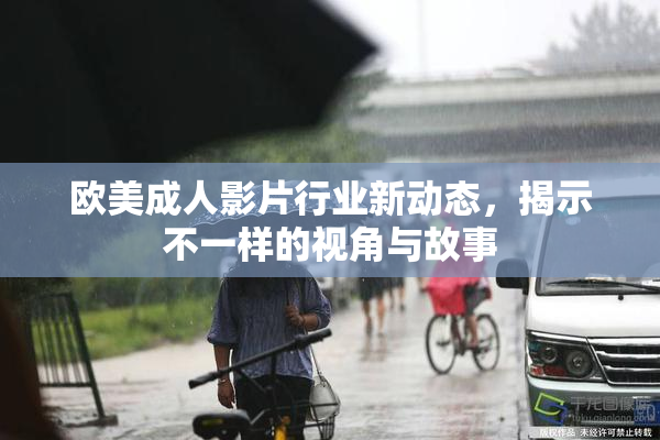 欧美成人影片行业新动态，揭示不一样的视角与故事