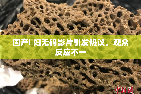 国产婬妇无码影片引发热议，观众反应不一