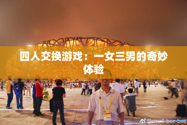 四人交换游戏：一女三男的奇妙体验