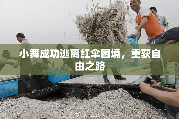 小舞成功逃离红伞困境，重获自由之路