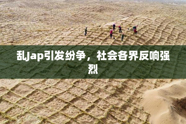 乱Jap引发纷争，社会各界反响强烈