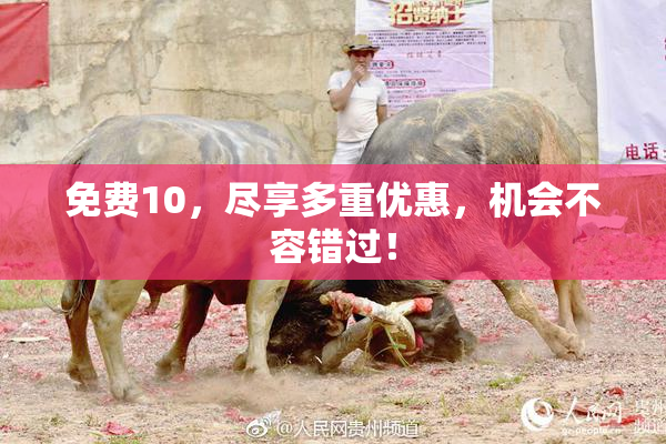 免费10，尽享多重优惠，机会不容错过！