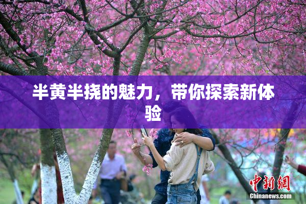 半黄半挠的魅力，带你探索新体验