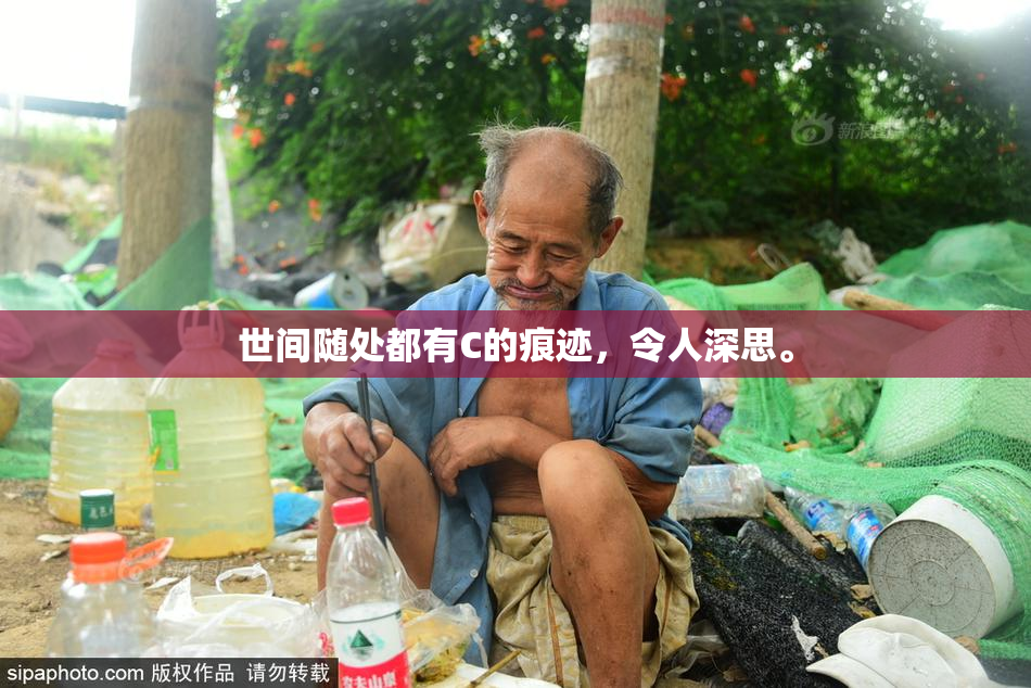 世间随处都有C的痕迹，令人深思。