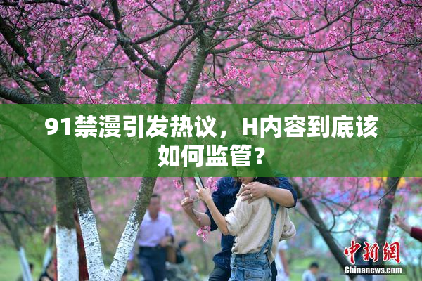 91禁漫引发热议，H内容到底该如何监管？