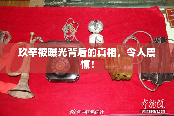 玖辛被曝光背后的真相，令人震惊！