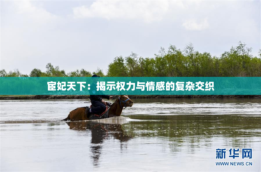 宦妃天下：揭示权力与情感的复杂交织