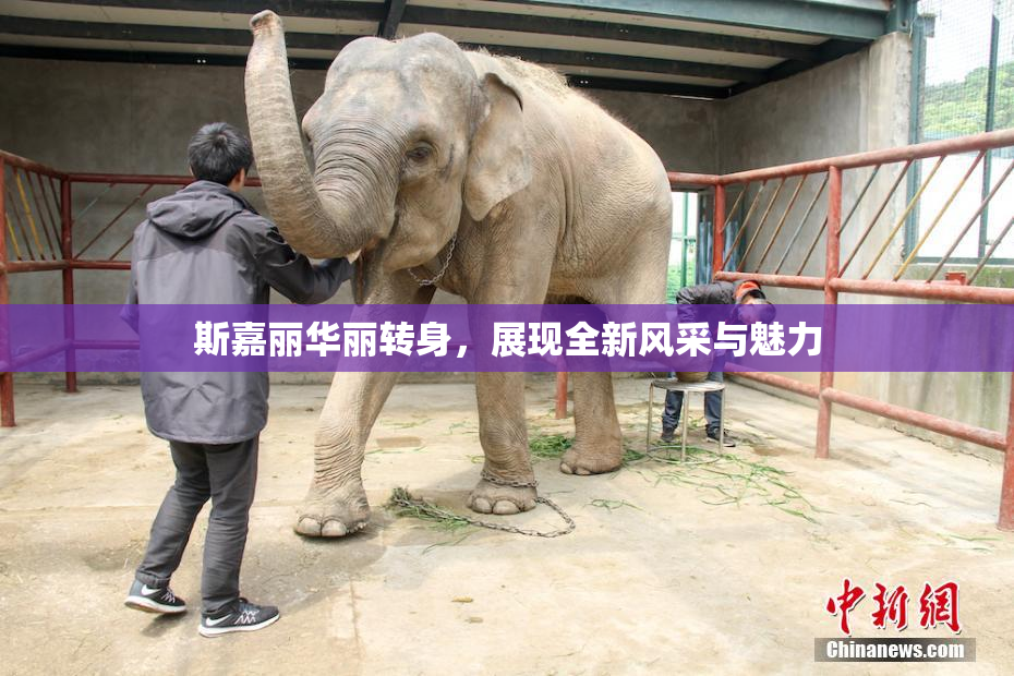 斯嘉丽华丽转身，展现全新风采与魅力