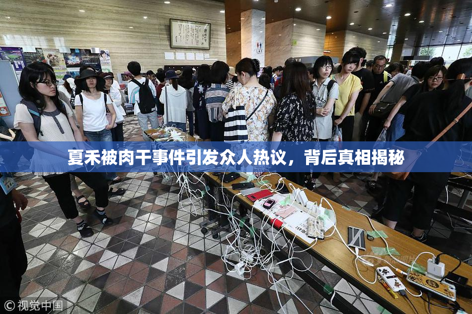 夏禾被肉干事件引发众人热议，背后真相揭秘