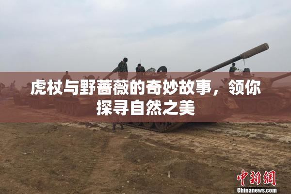 虎杖与野蔷薇的奇妙故事，领你探寻自然之美