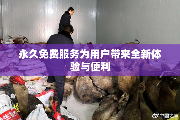 永久免费服务为用户带来全新体验与便利