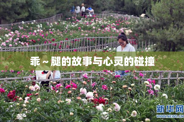 乖～腿的故事与心灵的碰撞