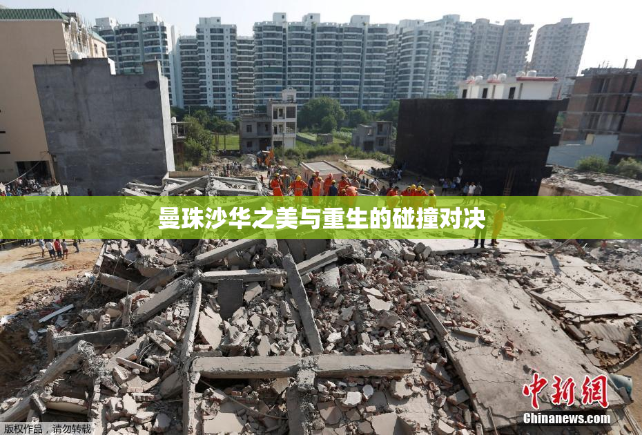 曼珠沙华之美与重生的碰撞对决
