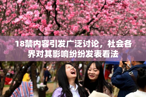 18禁内容引发广泛讨论，社会各界对其影响纷纷发表看法