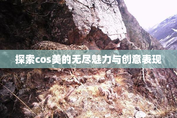 探索cos美的无尽魅力与创意表现